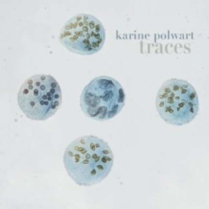 Polwart Karine