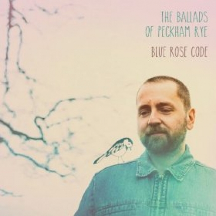Blue Rose Code